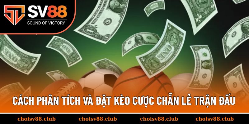 Cách phân tích và đặt kèo cược chẵn lẻ trận đấu