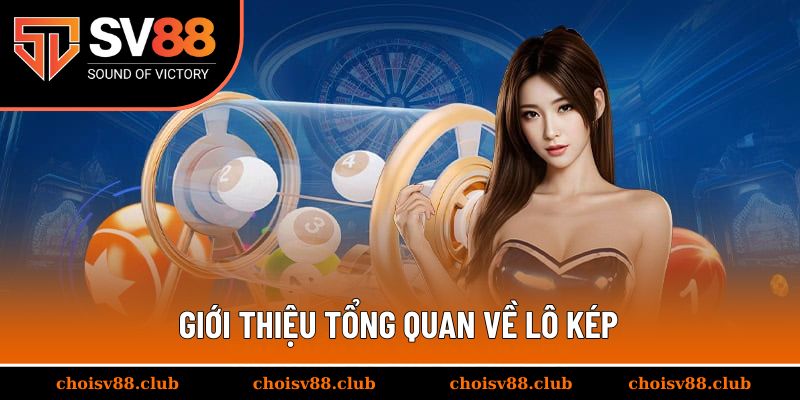 Giới thiệu tổng quan về lô kép