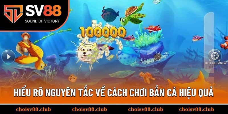 Hiểu rõ nguyên tắc về cách chơi bắn cá hiệu quả