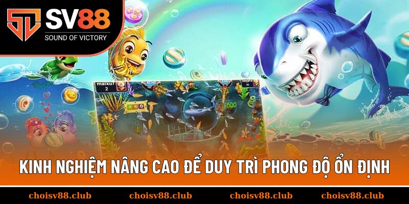Kinh nghiệm nâng cao để duy trì phong độ ổn định