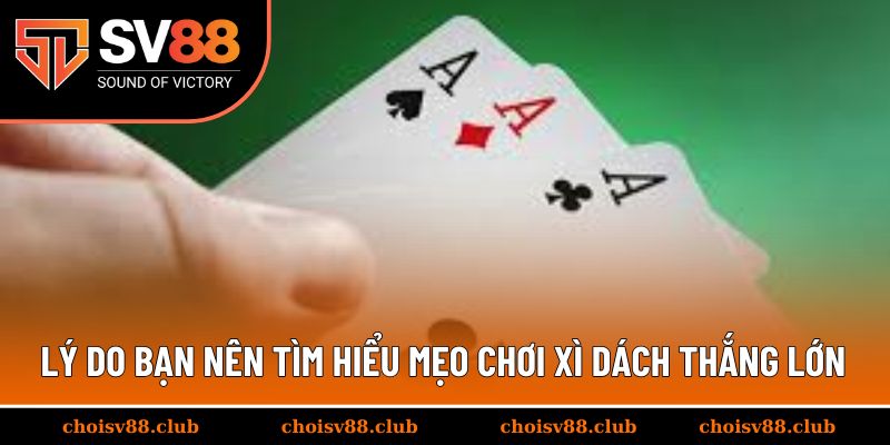 Lý do bạn nên tìm hiểu mẹo chơi xì dách thắng lớn