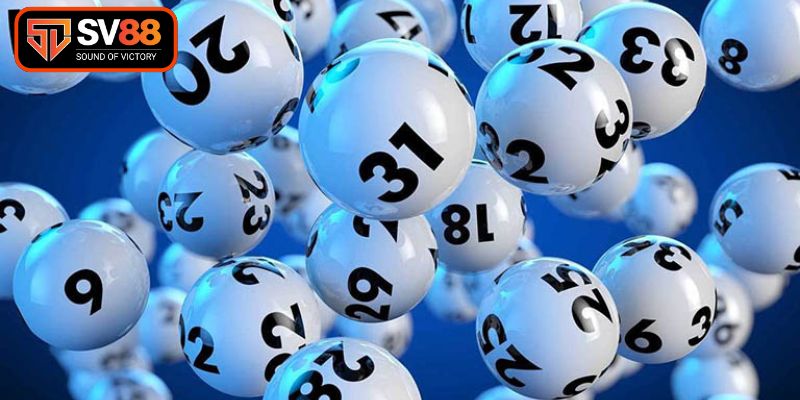 Nắm bắt kiến thức cơ bản về bạch thủ